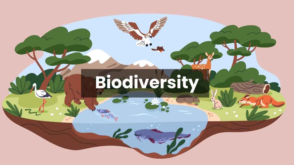 what is biodiversity