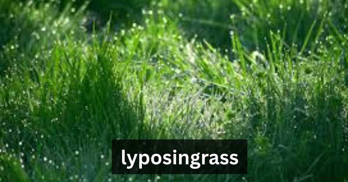 lyposingrass