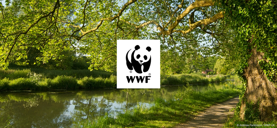 wwf and