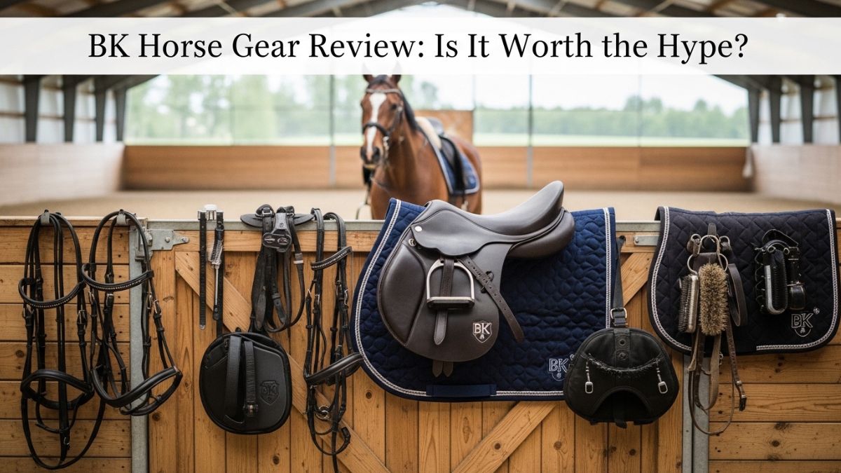 BK Horse Gear Review: Is It Worth the Hype?